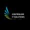 Controlism It Solutions Pvt. Ltd. logo