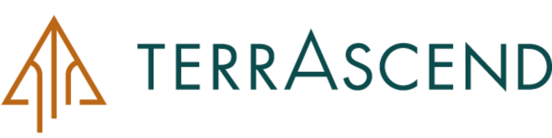 Terrascend logo