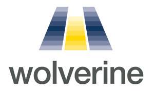 Wolve logo