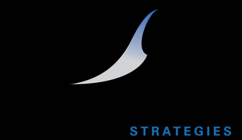 Silverback Strategies logo