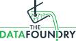 The Data Foundry logo