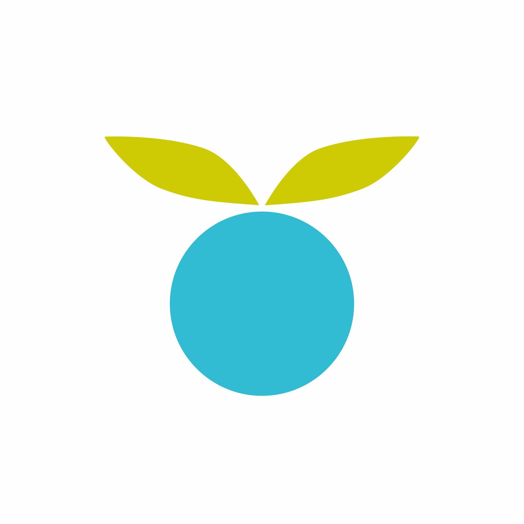 Huckleberrylabs logo