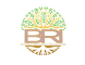 Boutique Recruiting Introductions, LLC (BRI) logo