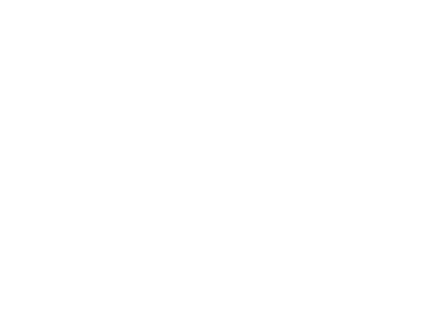 Sahl logo