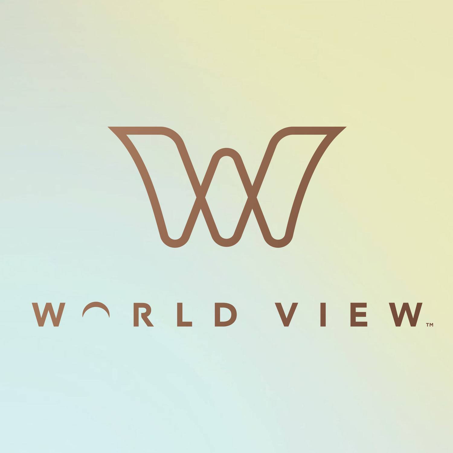 World View Enterprises logo
