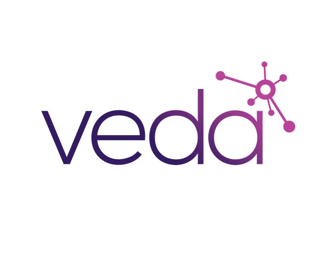 VEDA Data Solutions logo