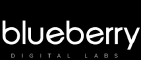Blueberry Labs Private Limited logo