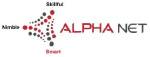 Alpha Net Consulting LLC. logo